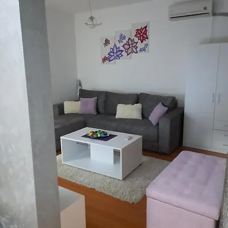 Rudolf * سوكو بانيا