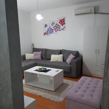 Rudolf * سوكو بانيا