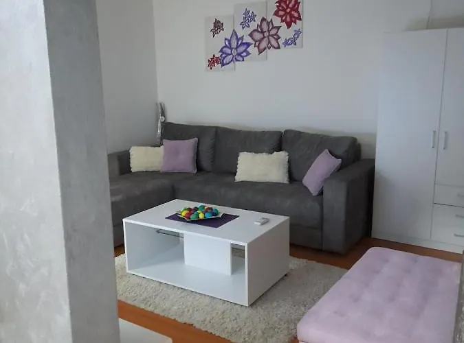 Rudolf * 소코 반자