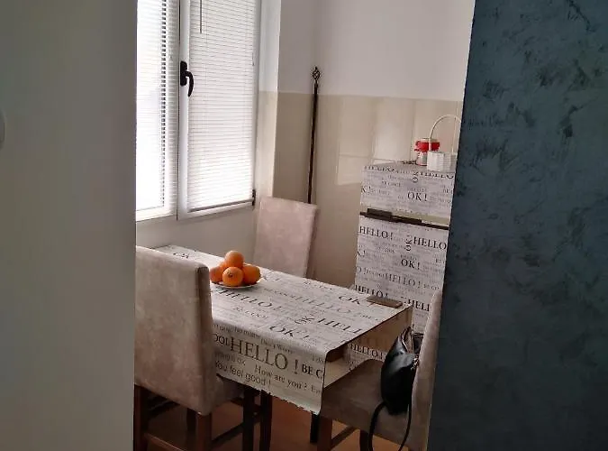 Daire Rudolf Soko Banja