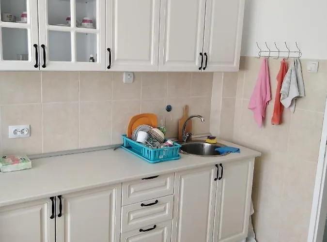 Daire Rudolf Soko Banja