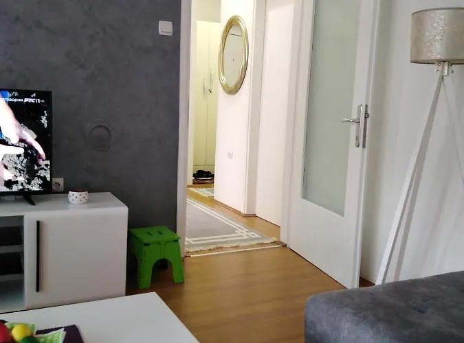 Rudolf * 소코 반자