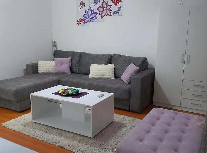 Rudolf Daire Soko Banja