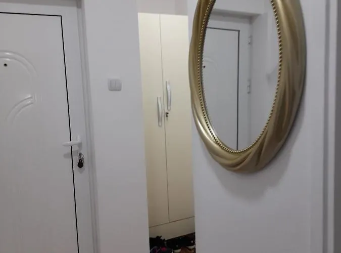 아파트 Rudolf 소코 반자