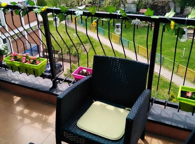 Rudolf * 소코 반자